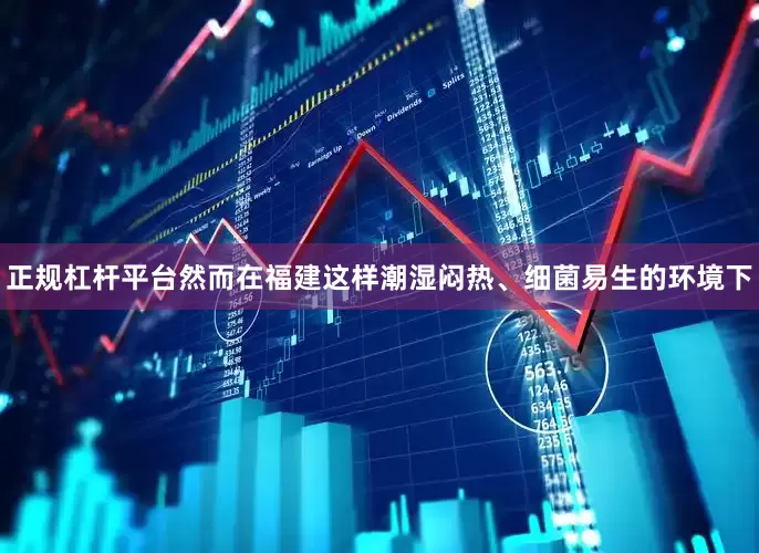 正规杠杆平台然而在福建这样潮湿闷热、细菌易生的环境下