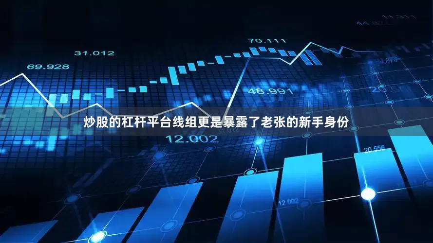 炒股的杠杆平台线组更是暴露了老张的新手身份